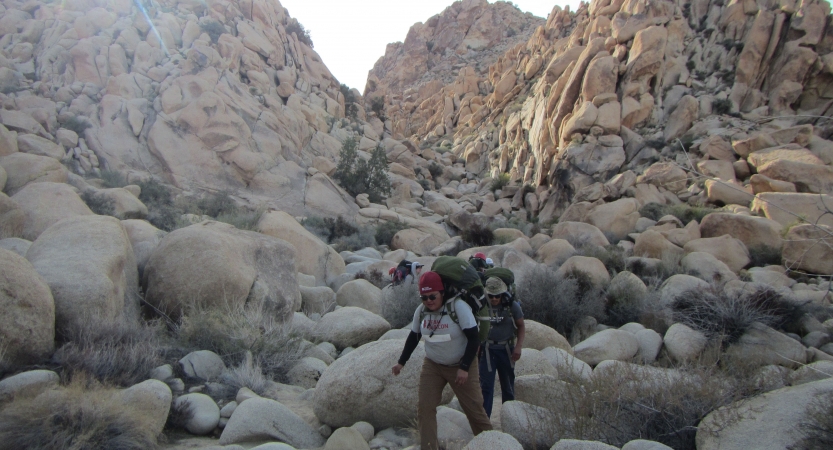 a group of people wearing backpacks hike through a rocky area in Joshua Tree National Park